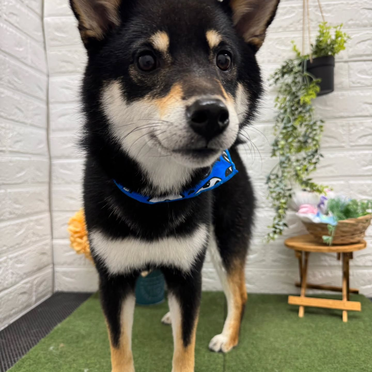 ☺🌈☺🌈☺🌈☺🌈