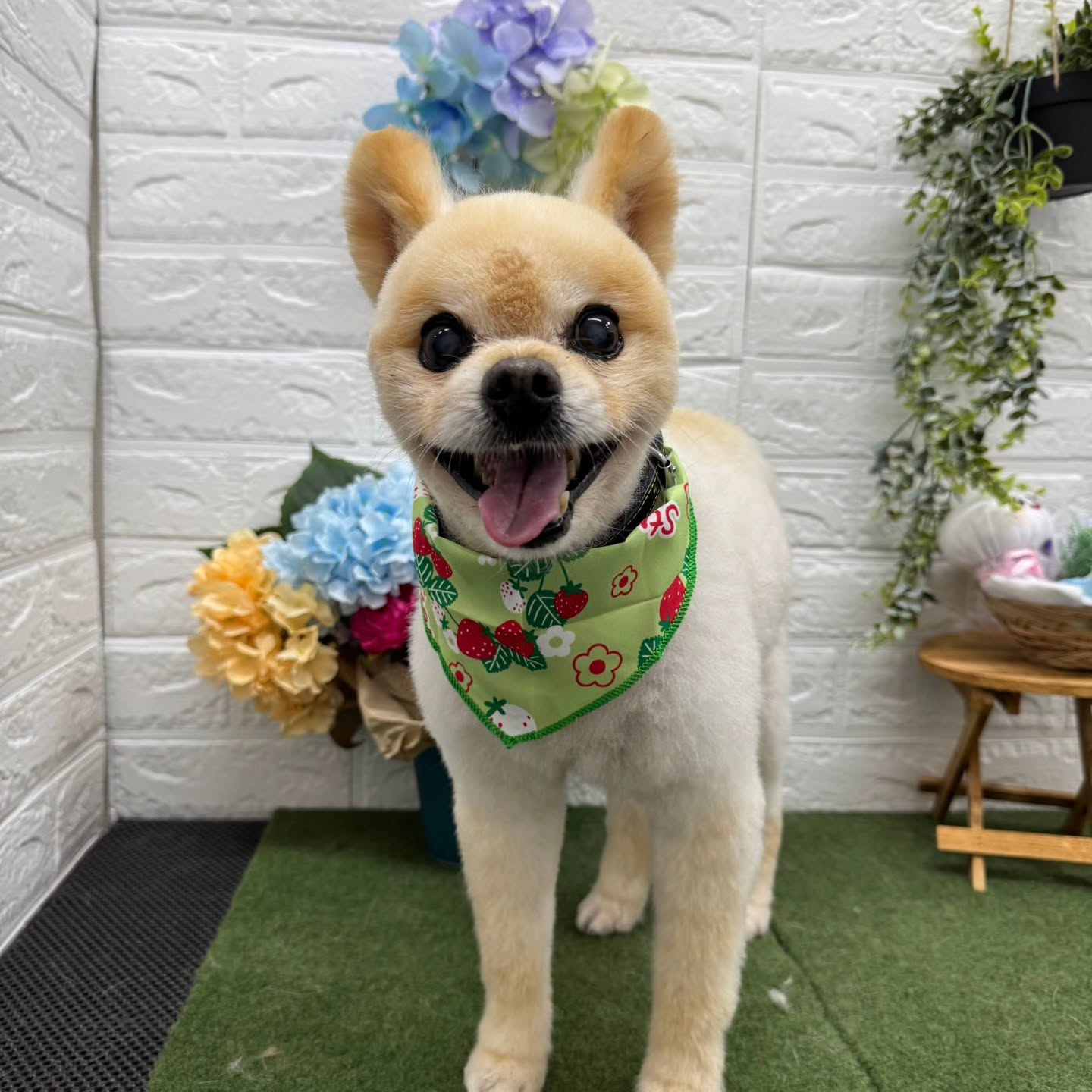 ☺🌈☺🌈☺🌈☺🌈