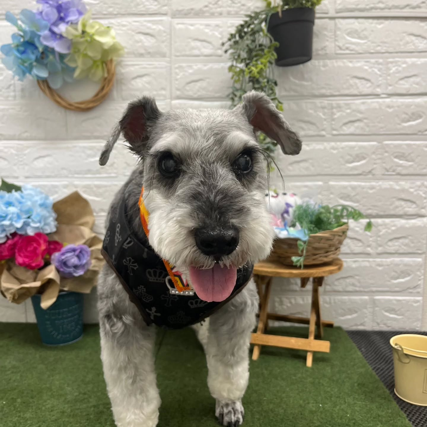 ☺🌈☺🌈☺🌈☺🌈