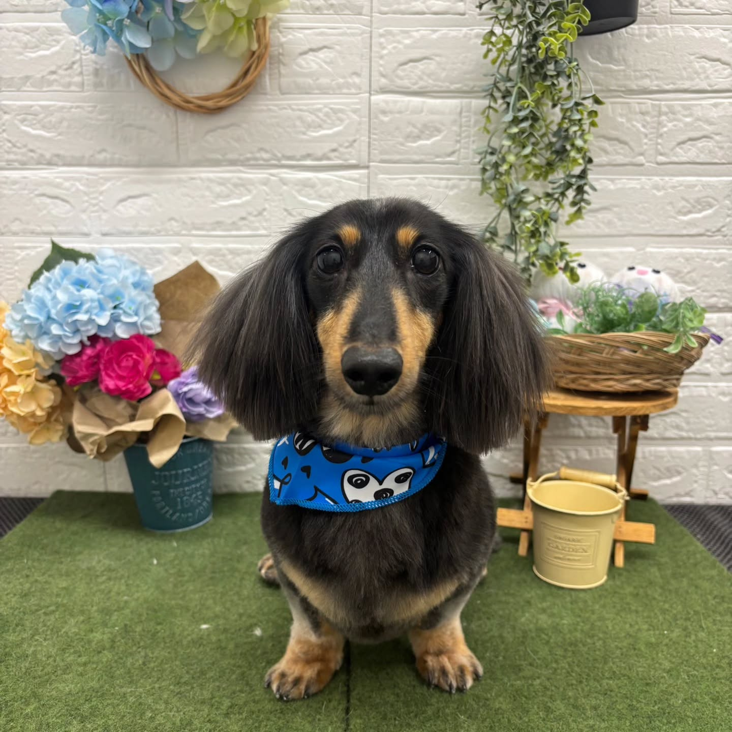 🌞🌞🌞🌞🌞🌞🌞🌞🌞🌞