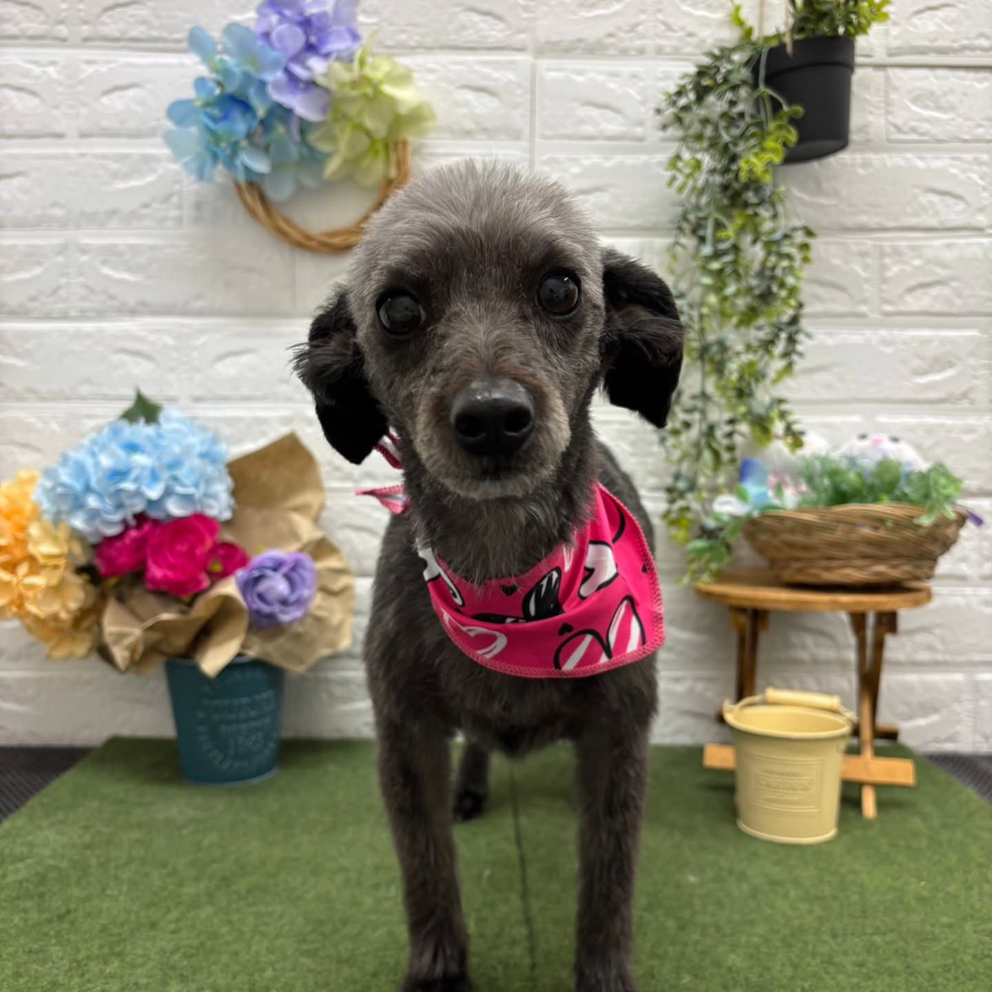 🌞🌞🌞🌞🌞🌞🌞🌞🌞🌞