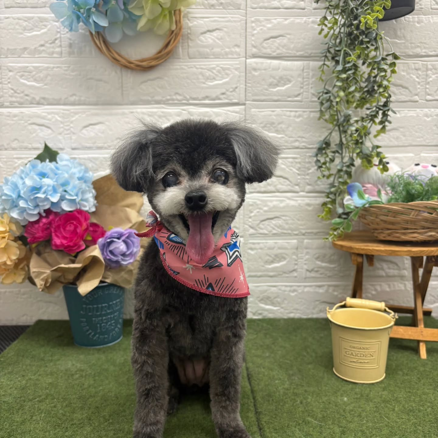 🌞🌞🌞🌞🌞🌞🌞🌞🌞🌞