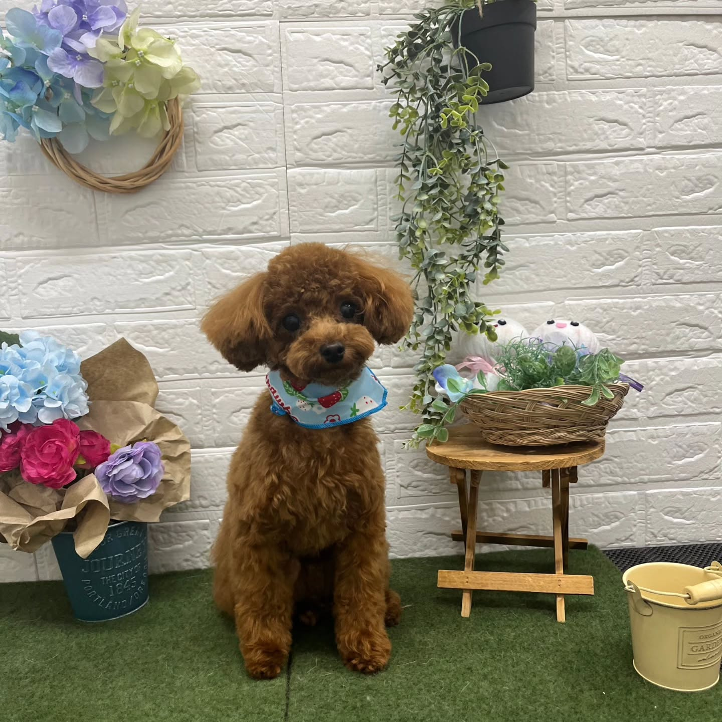 🌞🌞🌞🌞🌞🌞🌞🌞🌞🌞