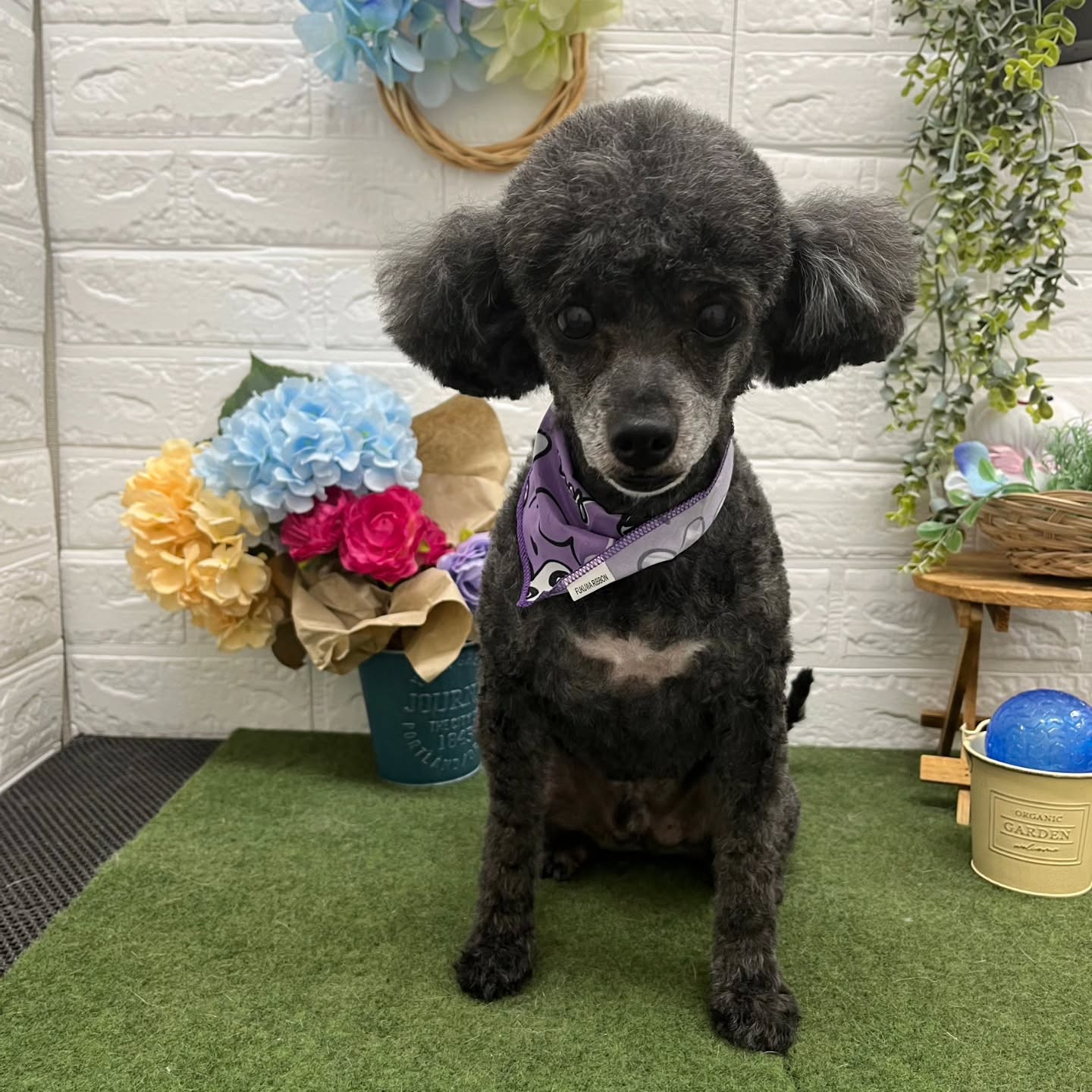 🌞🌞🌞🌞🌞🌞🌞🌞🌞🌞