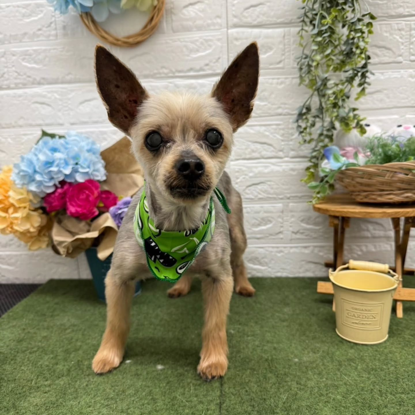 🌞🌞🌞🌞🌞🌞🌞🌞🌞🌞