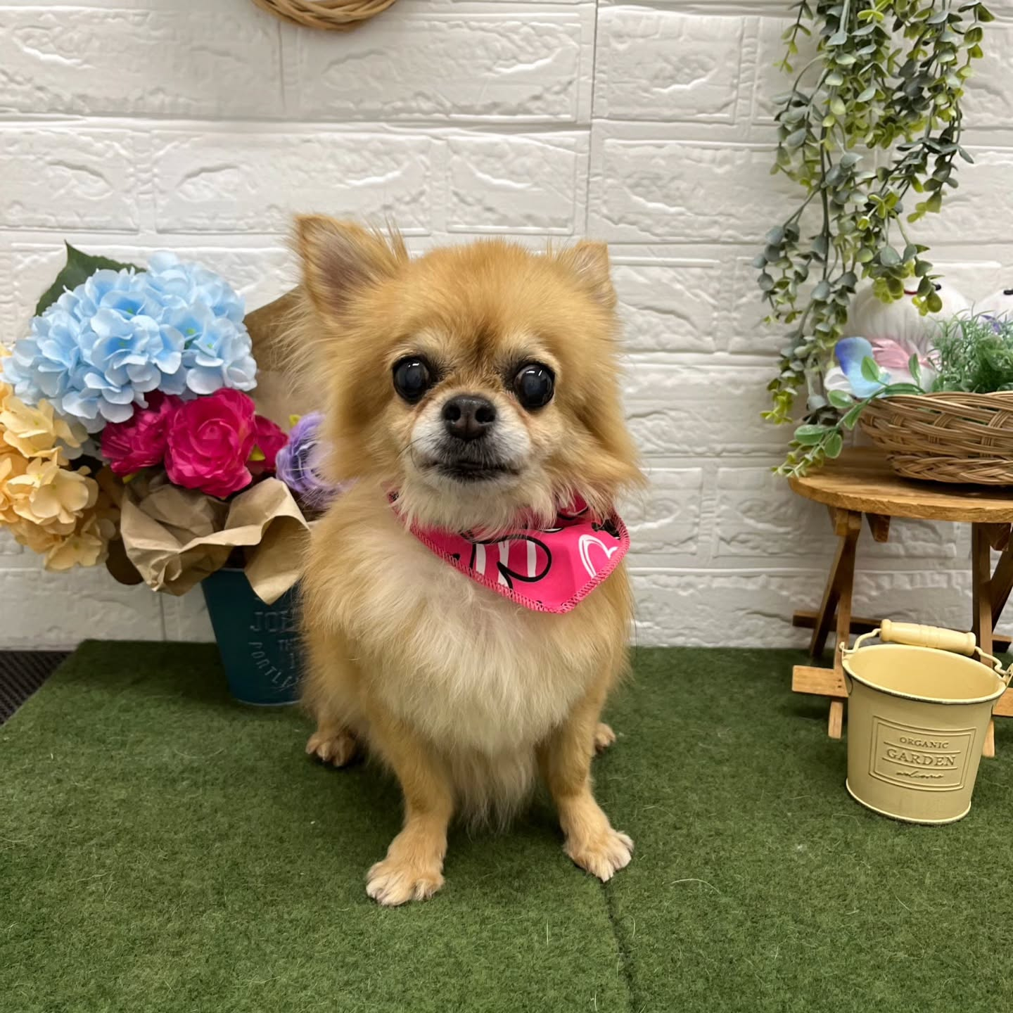 🌞🌞🌞🌞🌞🌞🌞🌞🌞🌞