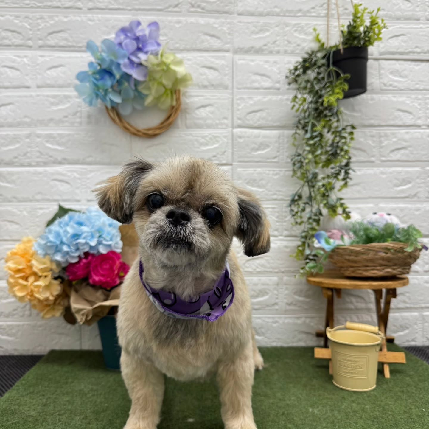 🌞🌞🌞🌞🌞🌞🌞🌞🌞🌞