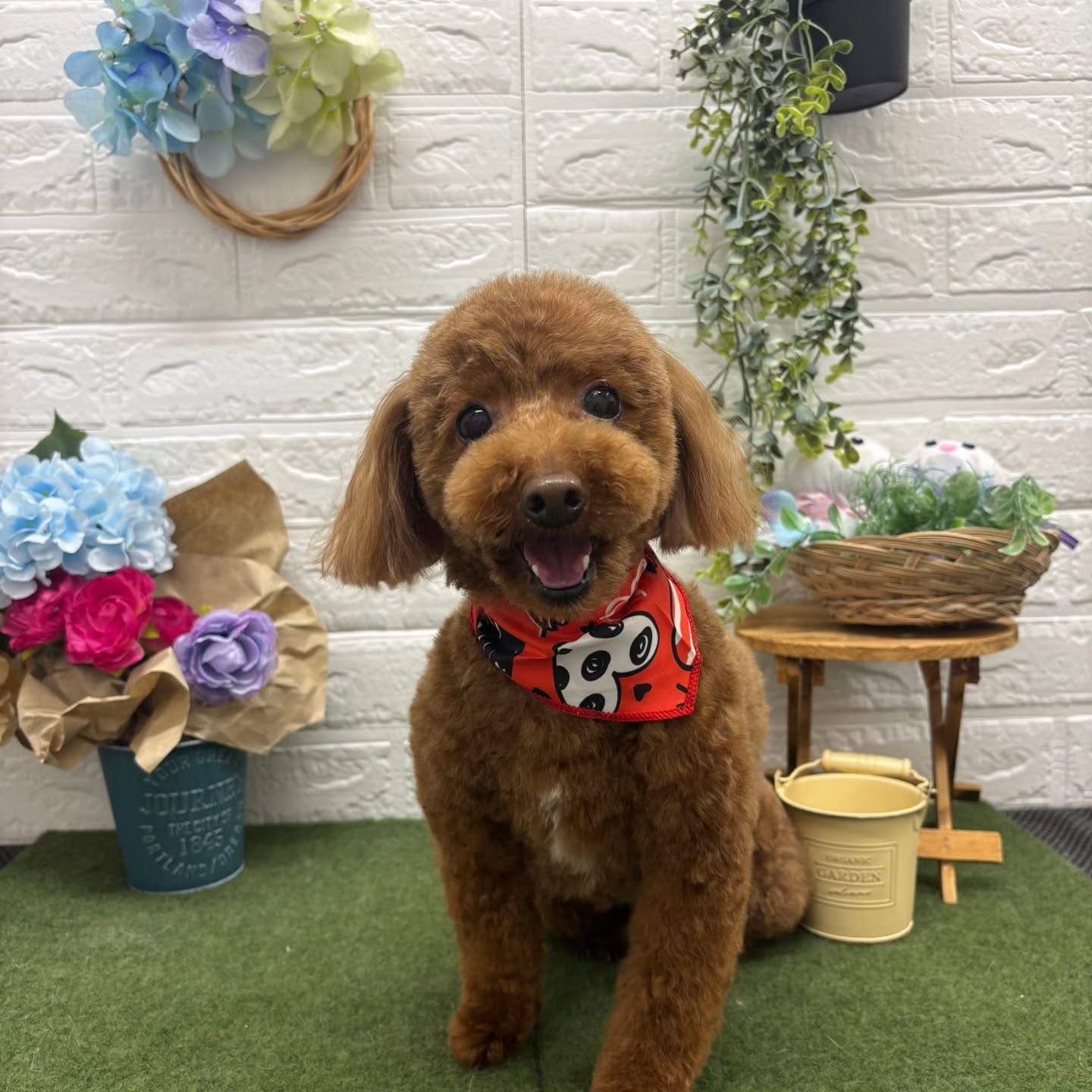 🌞🌞🌞🌞🌞🌞🌞🌞🌞🌞