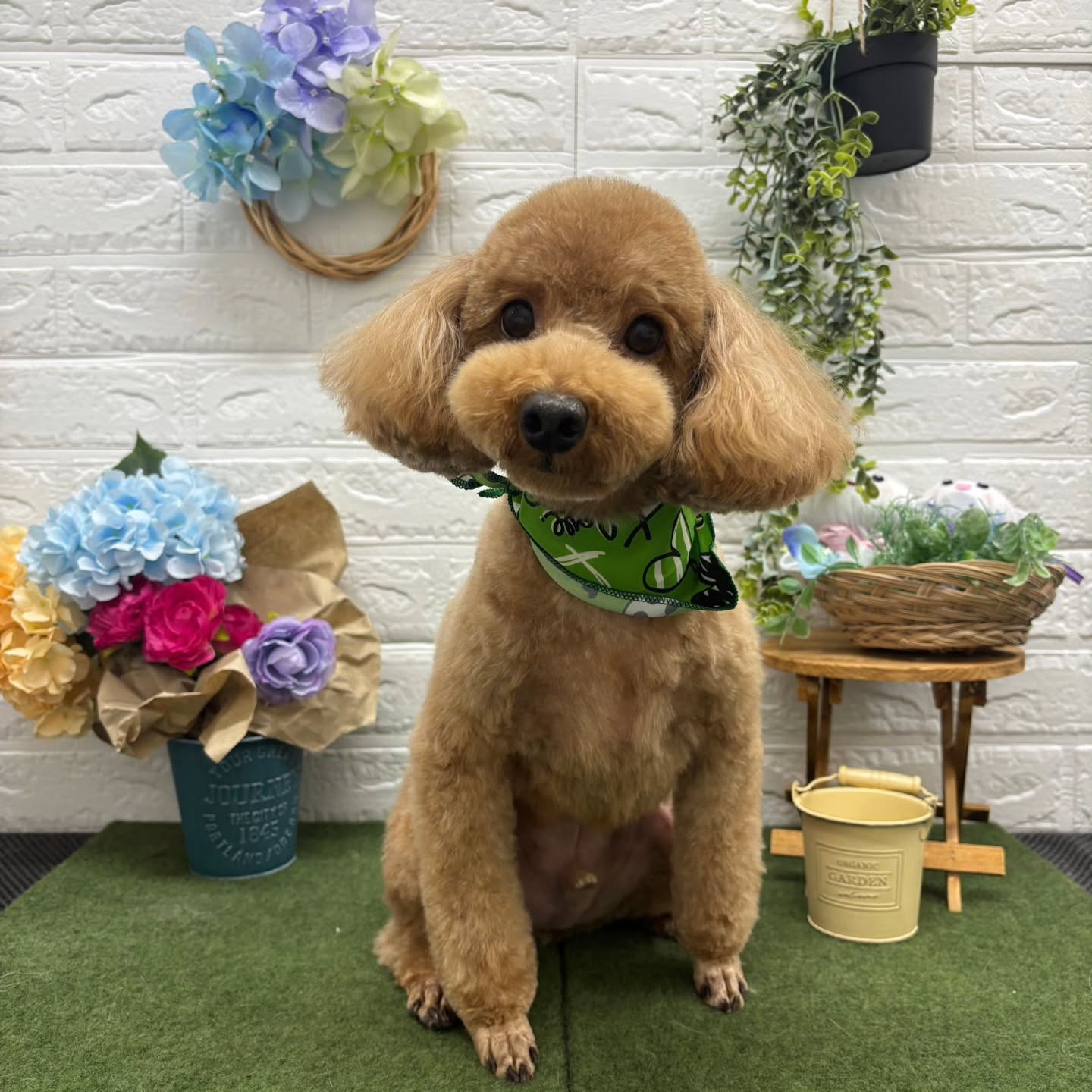 🌞🌞🌞🌞🌞🌞🌞🌞🌞🌞