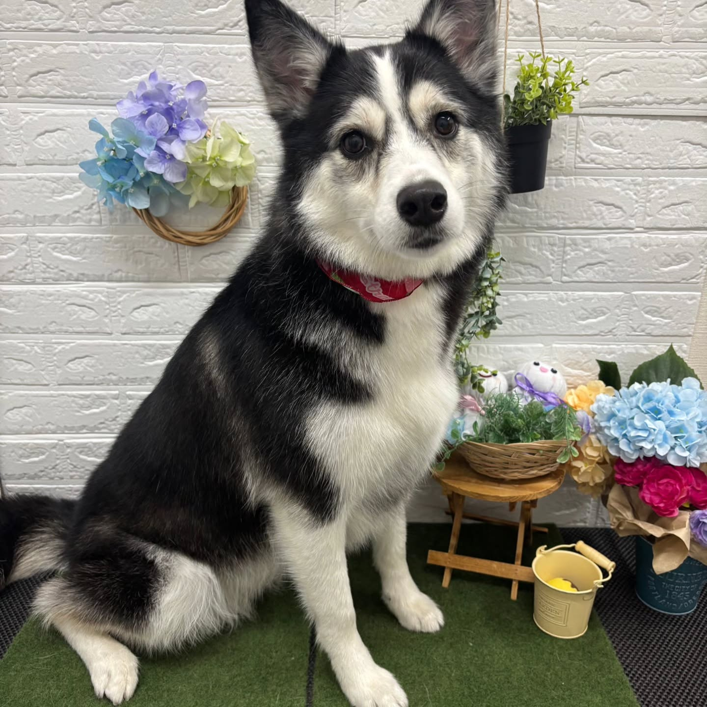 🪻🪻🪻🪻🪻🪻🪻🪻🪻🪻🪻🪻