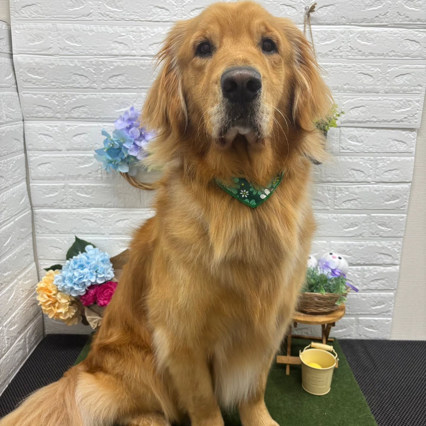 🪻🪻🪻🪻🪻🪻🪻🪻🪻🪻🪻🪻