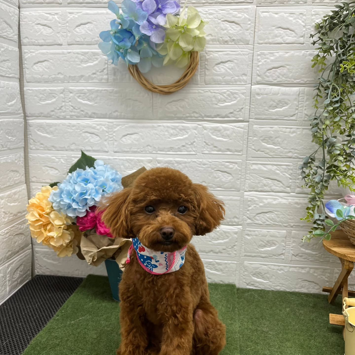 🪻🪻🪻🪻🪻🪻🪻🪻🪻🪻🪻🪻