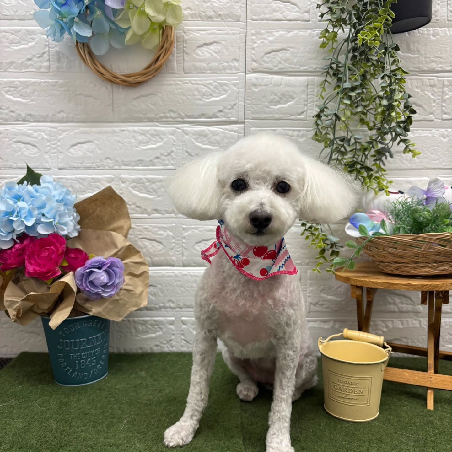 🪻🪻🪻🪻🪻🪻🪻🪻🪻🪻🪻🪻