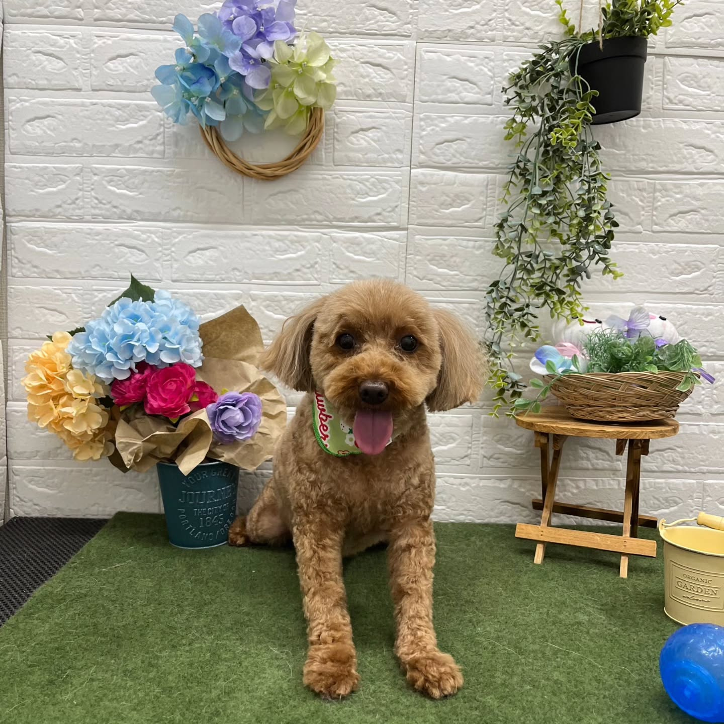 🪻🪻🪻🪻🪻🪻🪻🪻🪻🪻🪻🪻