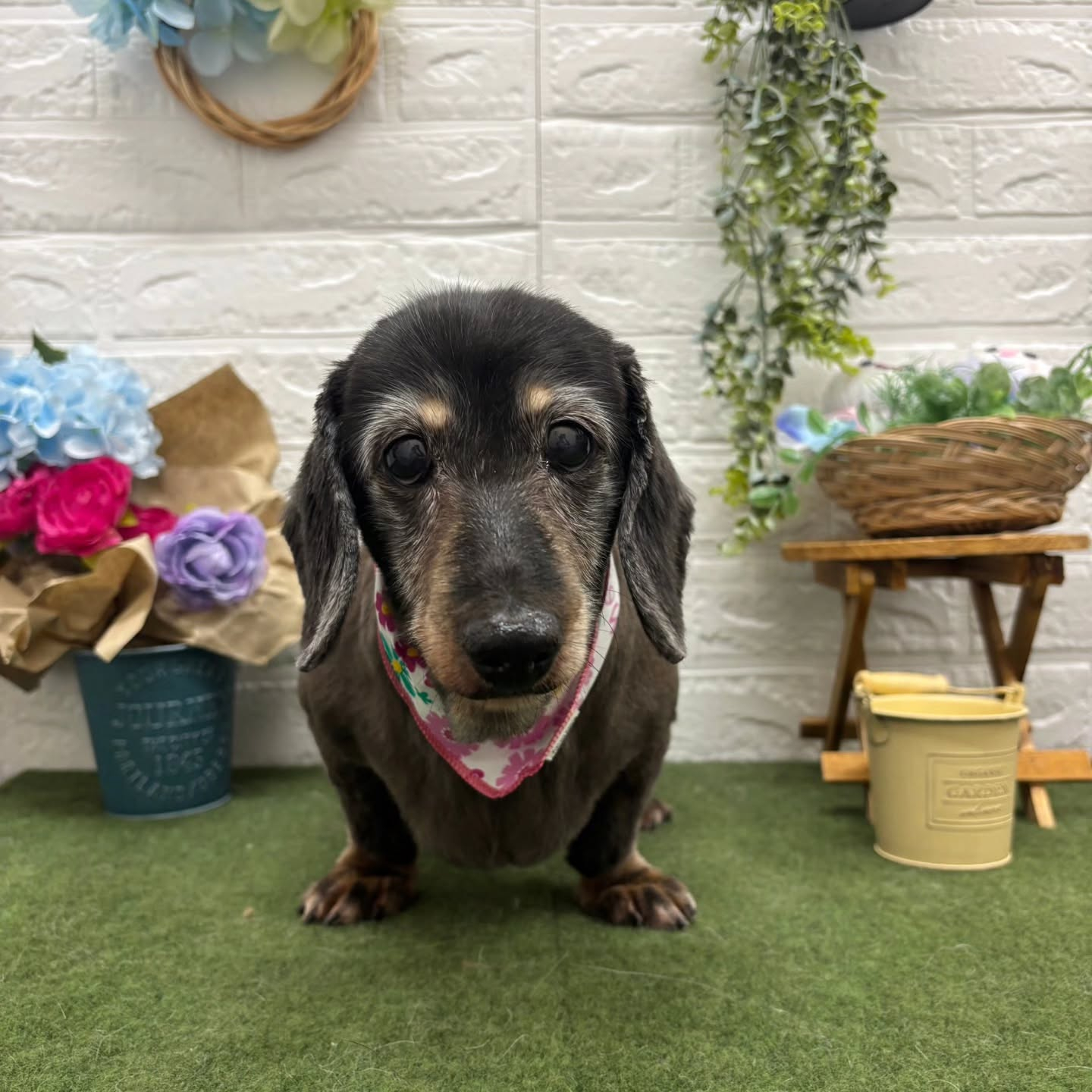 🪻🪻🪻🪻🪻🪻🪻🪻🪻🪻🪻🪻