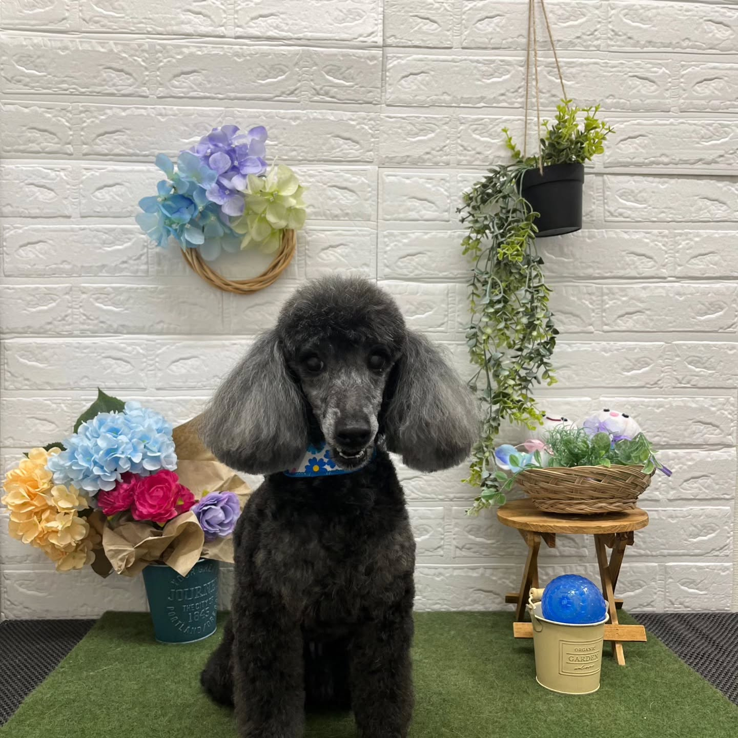 🪻🪻🪻🪻🪻🪻🪻🪻🪻🪻🪻🪻