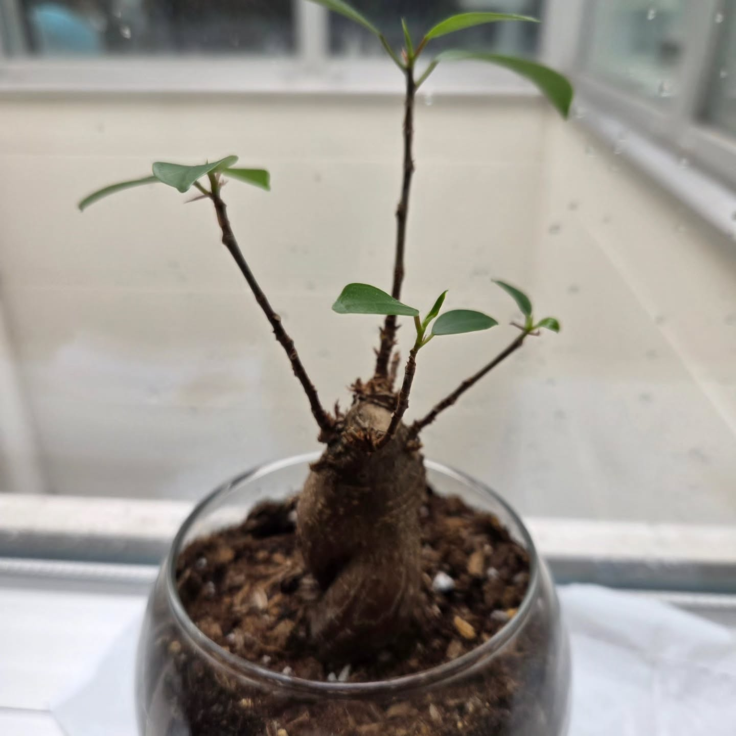 🪻🪻🪻🪻🪻🪻🪻🪻🪻🪻🪻🪻