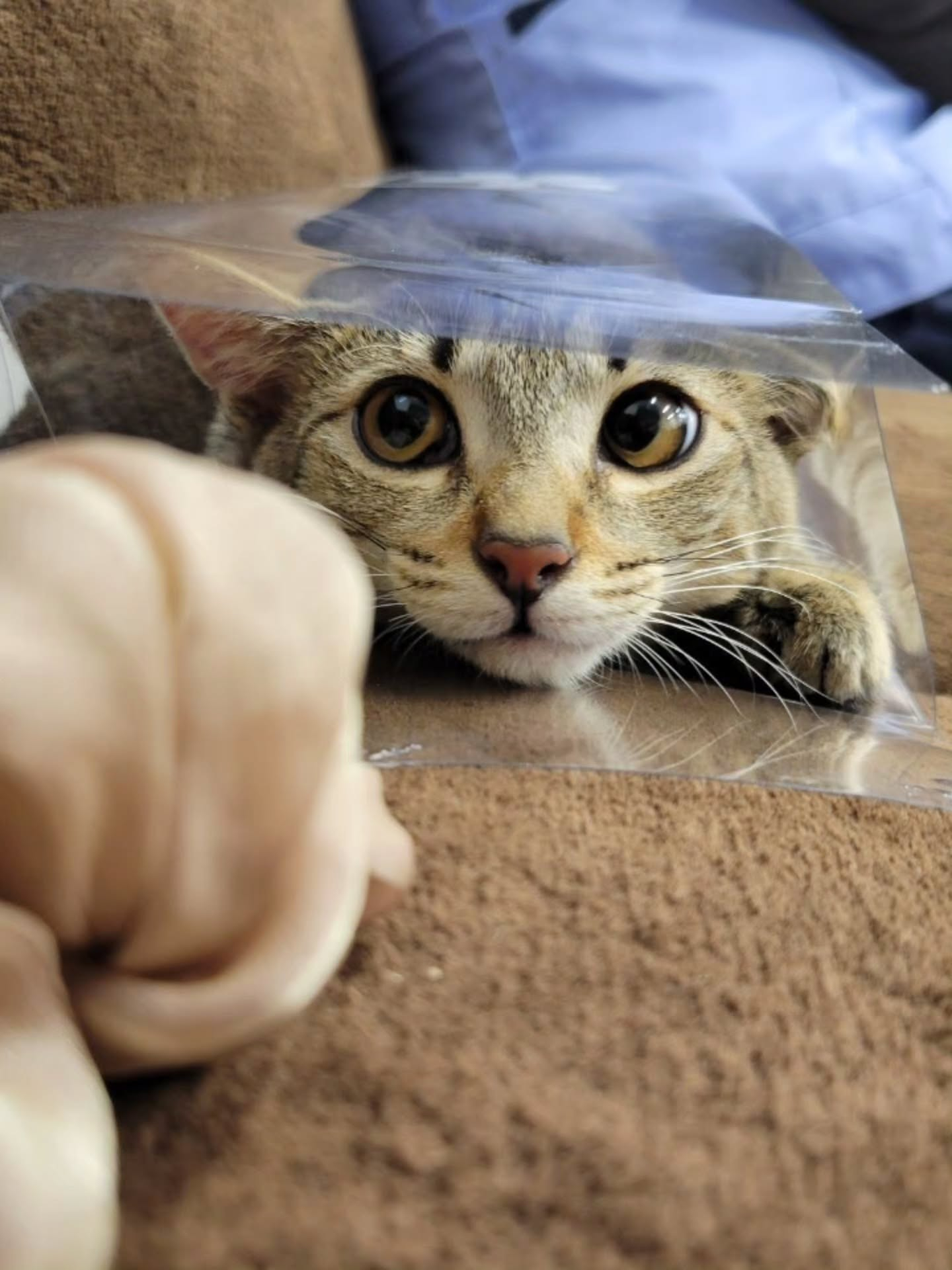♡♡♡　(=^ェ^=)　♡♡♡