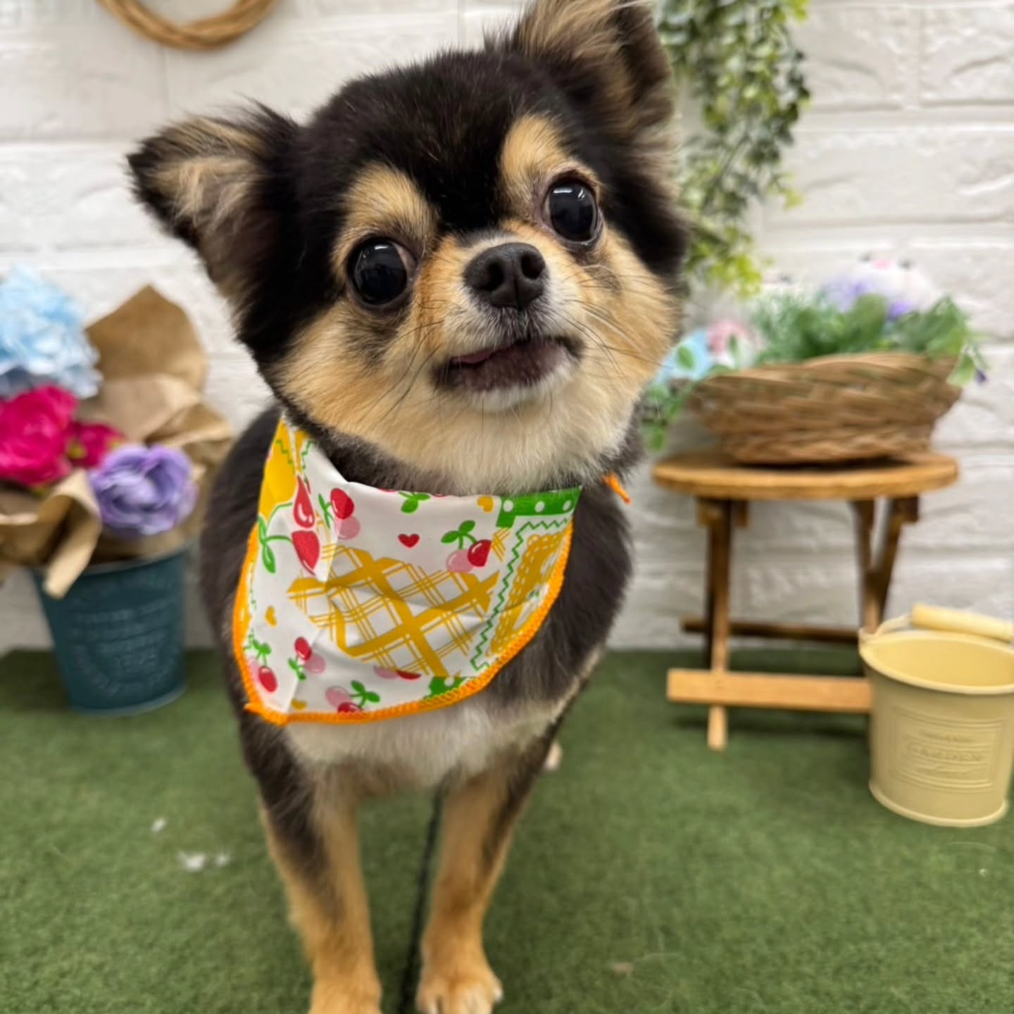 ๐๏ธ๐๏ธ๐๏ธ๐๏ธ๐๏ธ๐๏ธ๐๏ธ๐๏ธ