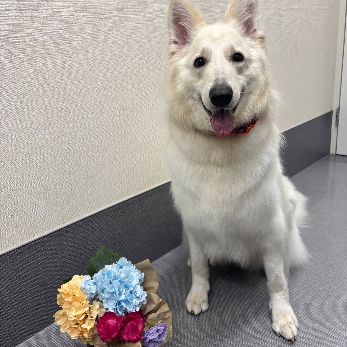 ๐๏ธ๐๏ธ๐๏ธ๐๏ธ๐๏ธ๐๏ธ๐๏ธ๐๏ธ