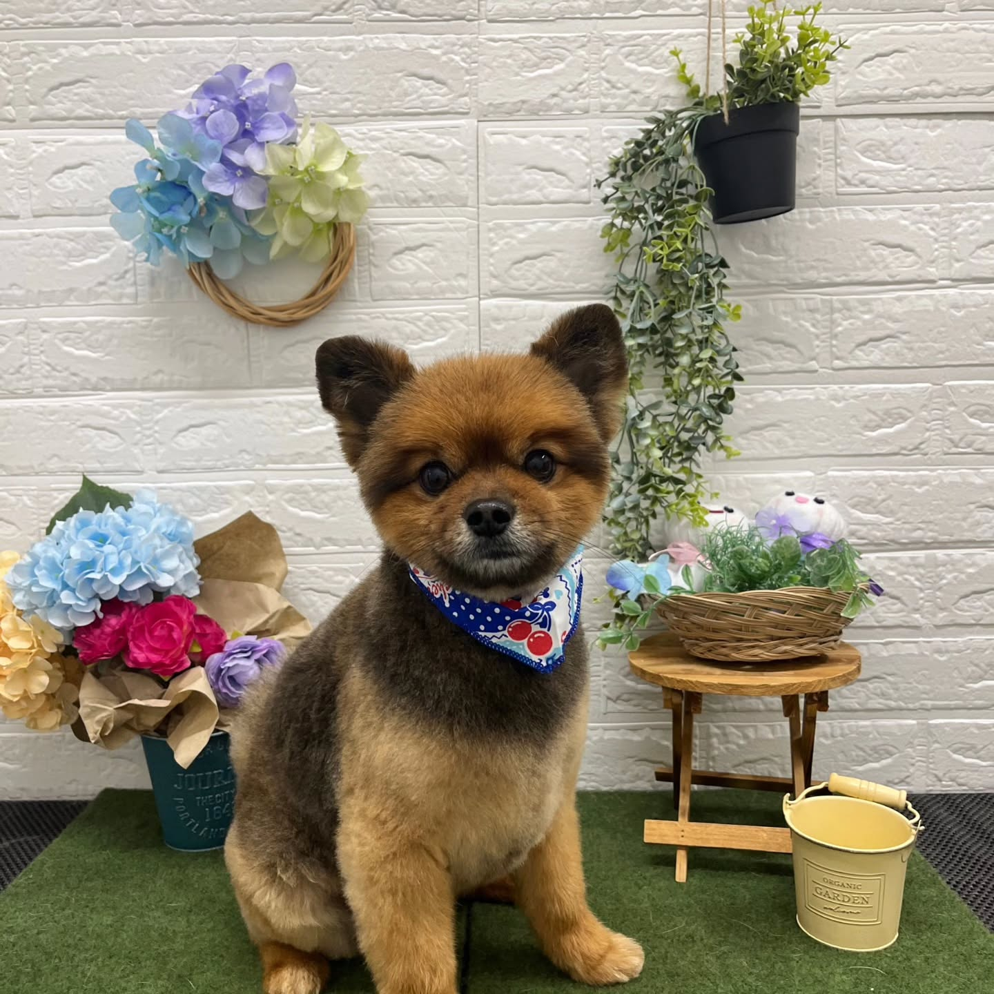 ๐๏ธ๐๏ธ๐๏ธ๐๏ธ๐๏ธ๐๏ธ๐๏ธ๐๏ธ