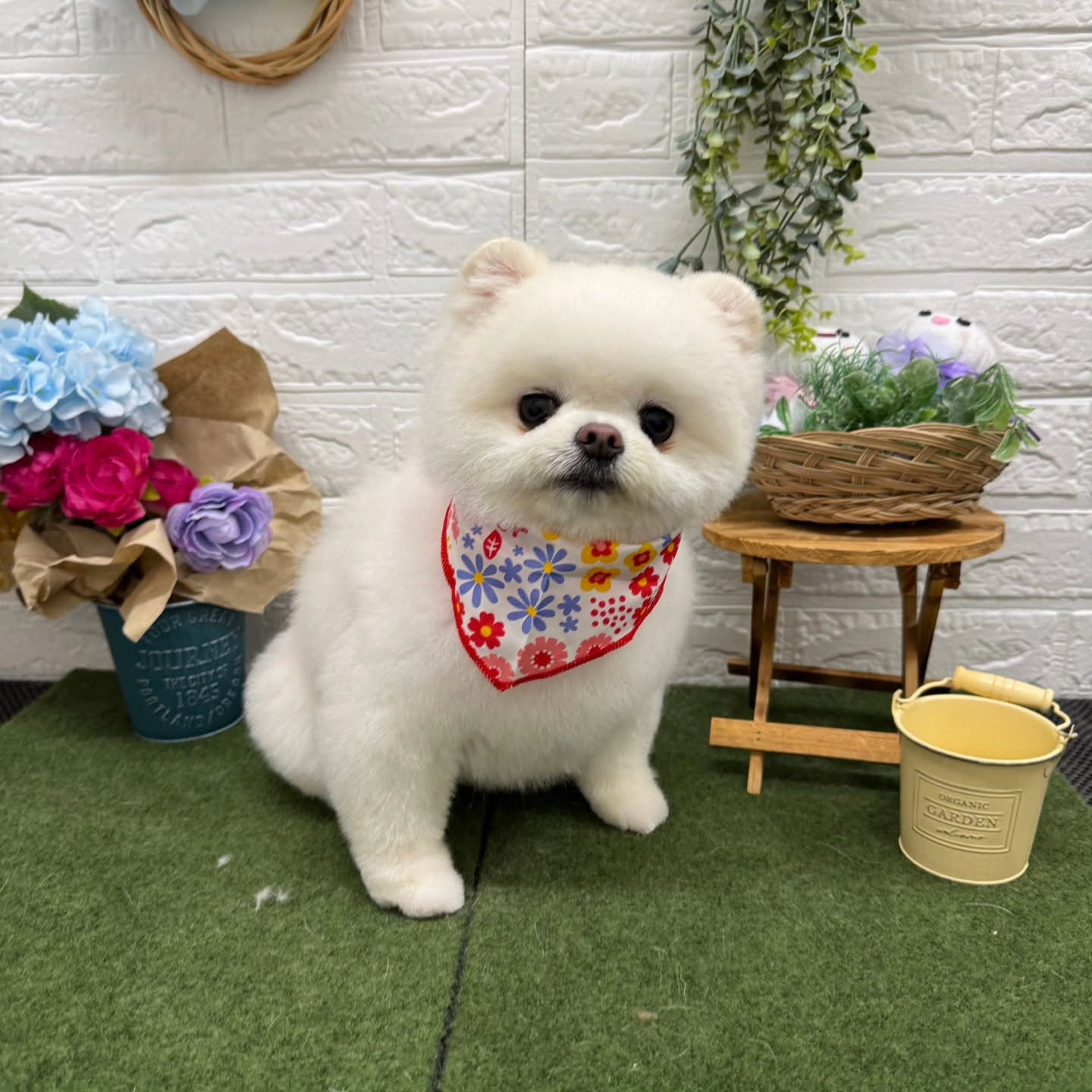 ๐๏ธ๐๏ธ๐๏ธ๐๏ธ๐๏ธ๐๏ธ๐๏ธ๐๏ธ