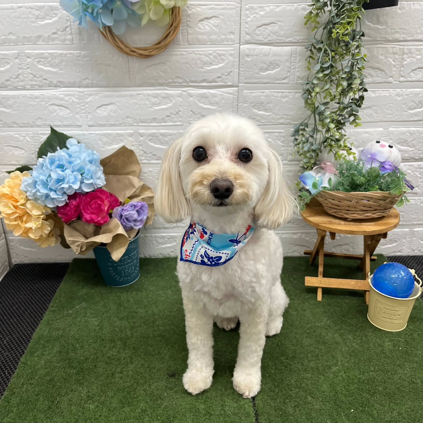 ๐๏ธ๐๏ธ๐๏ธ๐๏ธ๐๏ธ๐๏ธ๐๏ธ๐๏ธ