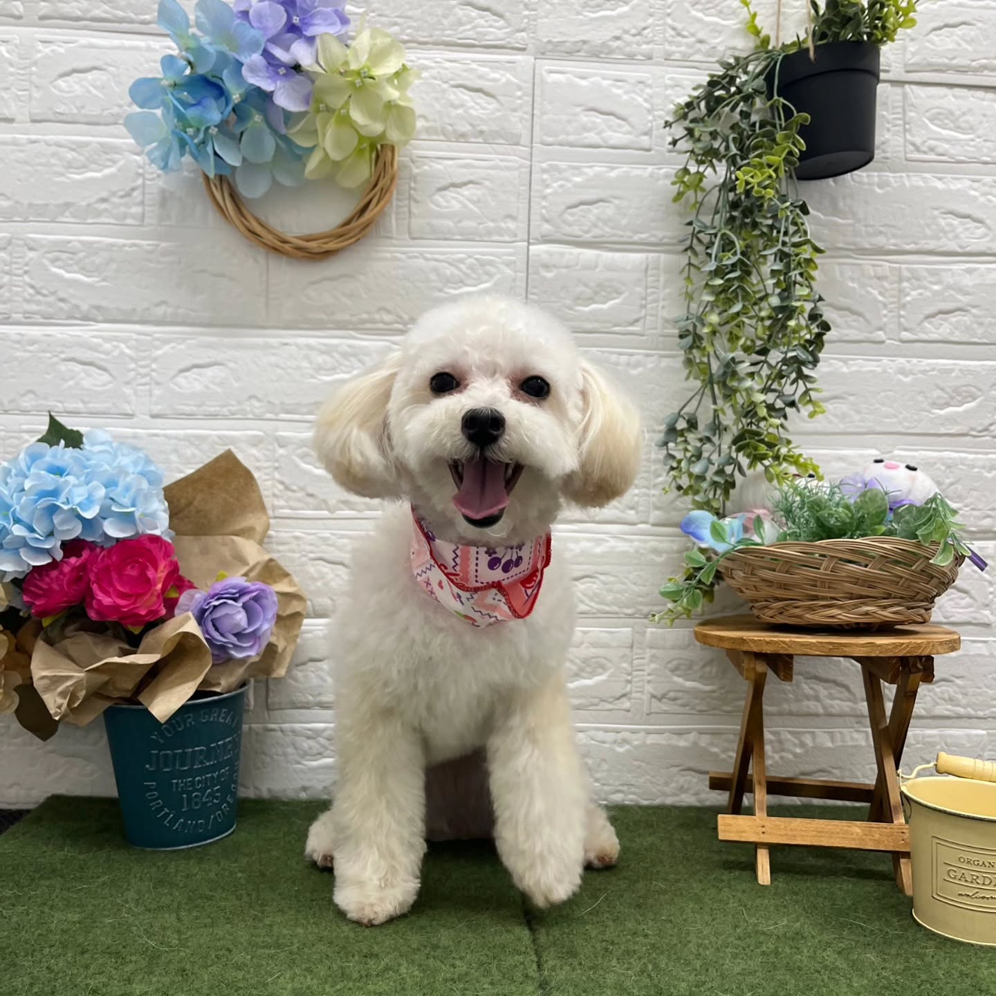 ๐๏ธ๐๏ธ๐๏ธ๐๏ธ๐๏ธ๐๏ธ๐๏ธ๐๏ธ