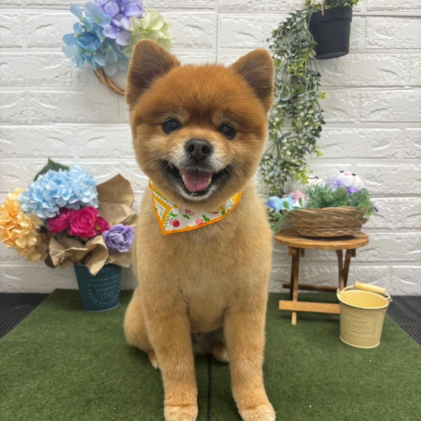 ๐๏ธ๐๏ธ๐๏ธ๐๏ธ๐๏ธ๐๏ธ๐๏ธ๐๏ธ