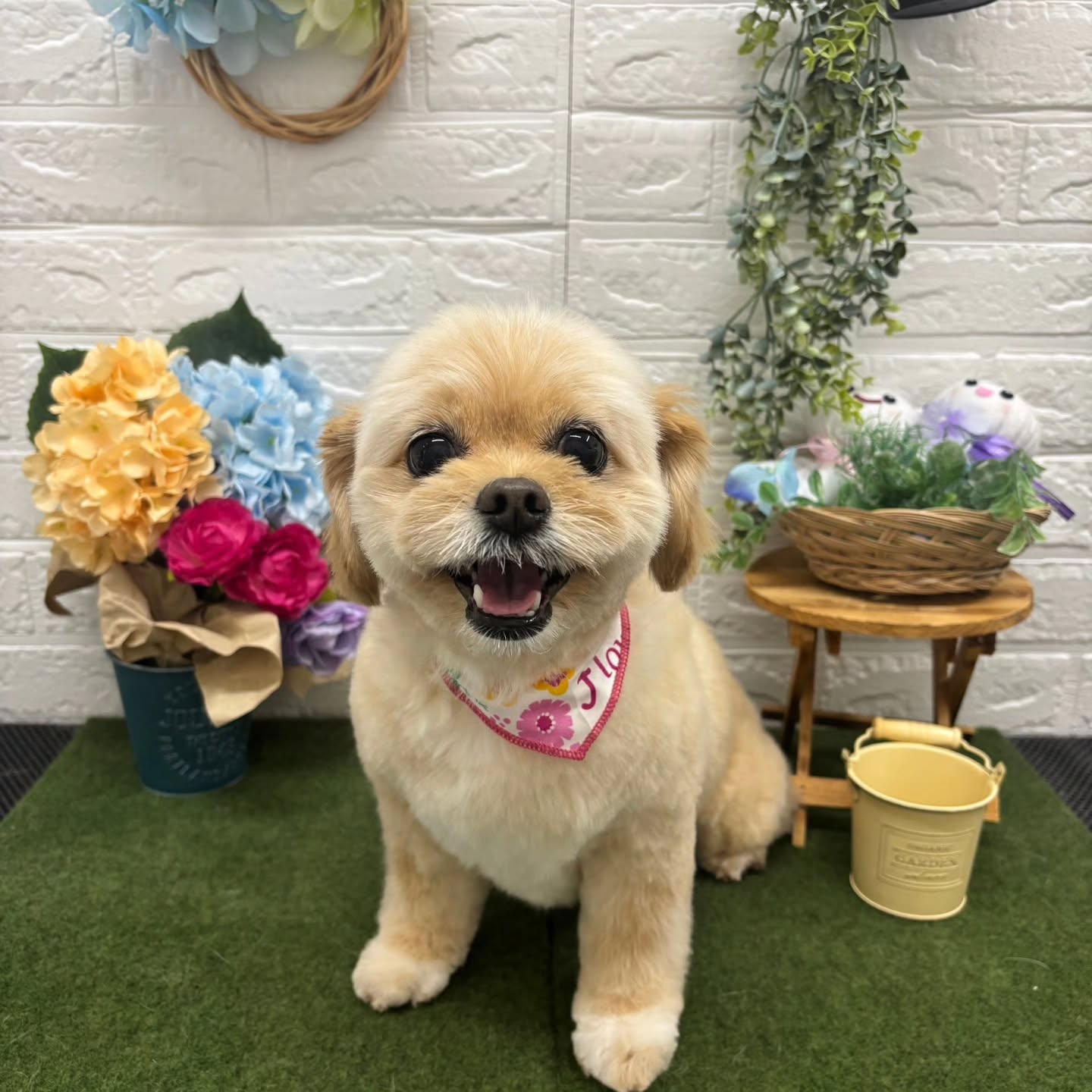 ๐๏ธ๐๏ธ๐๏ธ๐๏ธ๐๏ธ๐๏ธ๐๏ธ๐๏ธ