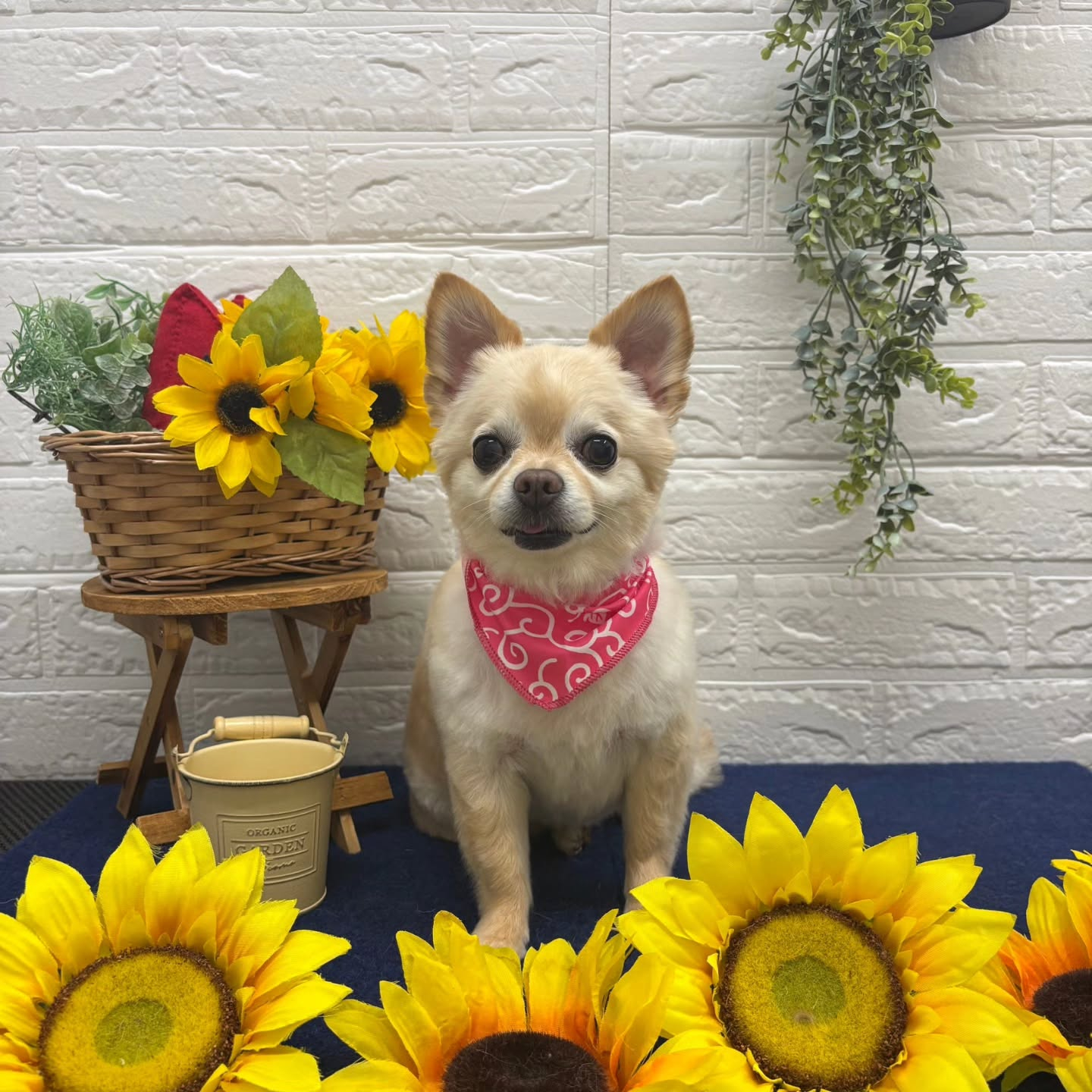 ๐ป๐ป๐ป๐ป๐ป๐ป๐ป๐ป