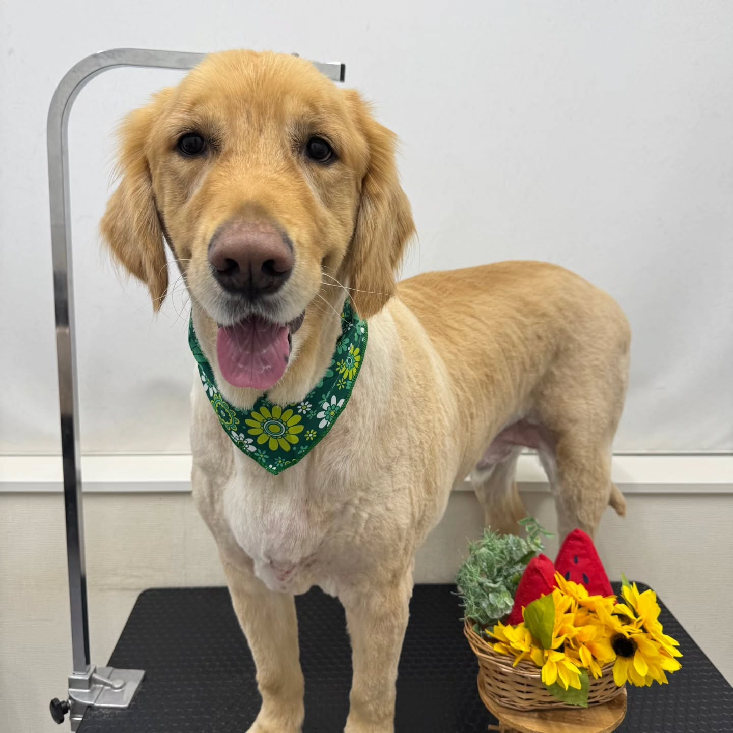 ๐ป๐ป๐ป๐ป๐ป๐ป๐ป๐ป