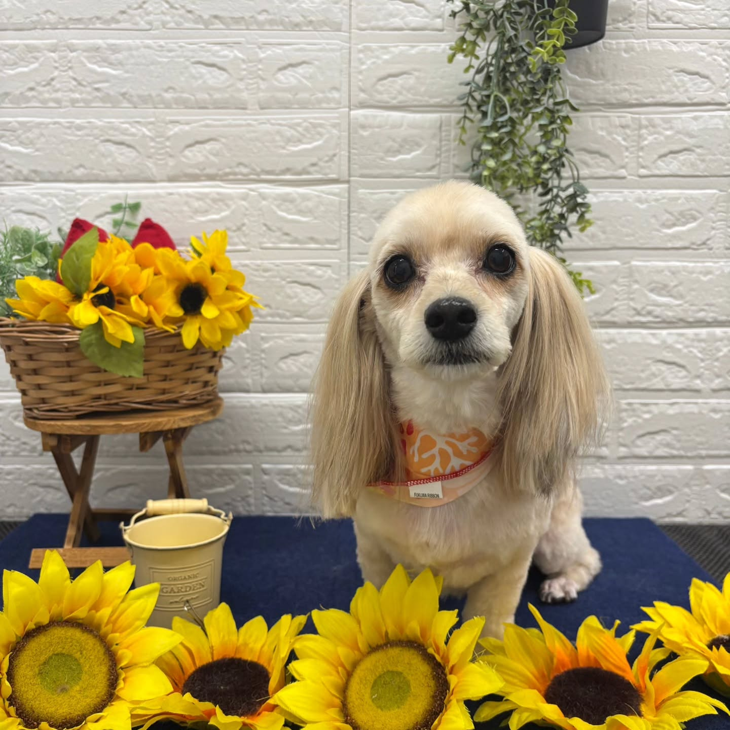 ๐ป๐ป๐ป๐ป๐ป๐ป๐ป๐ป