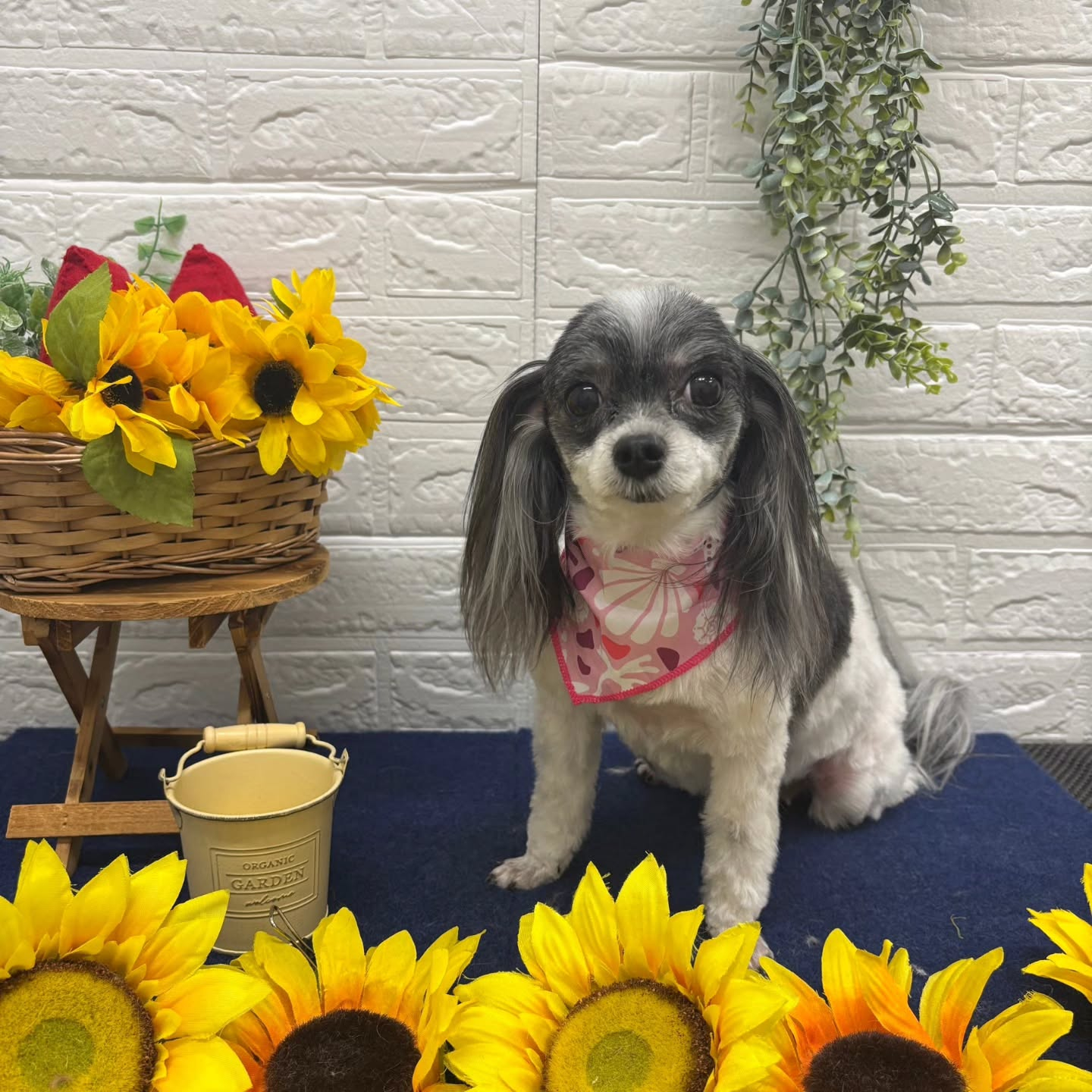 ๐ป๐ป๐ป๐ป๐ป๐ป๐ป๐ป