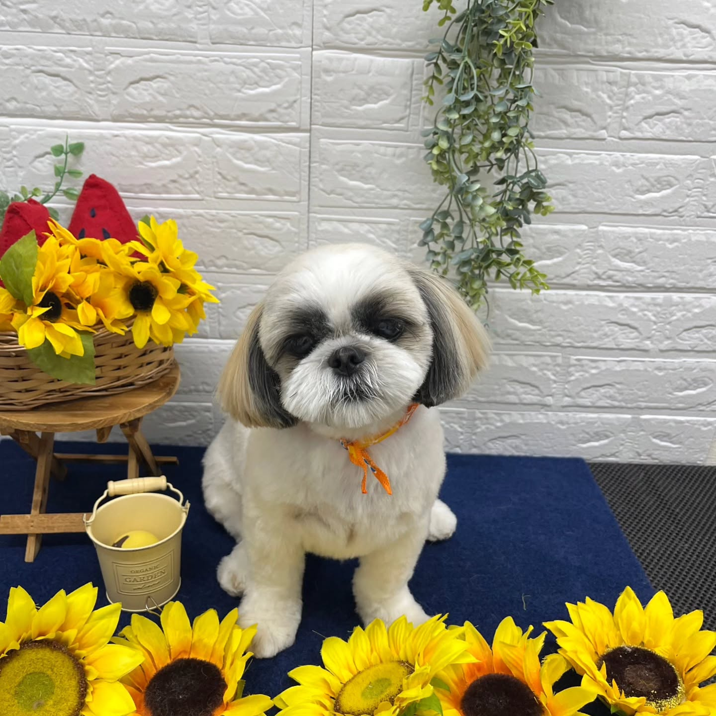 ๐ป๐ป๐ป๐ป๐ป๐ป๐ป๐ป