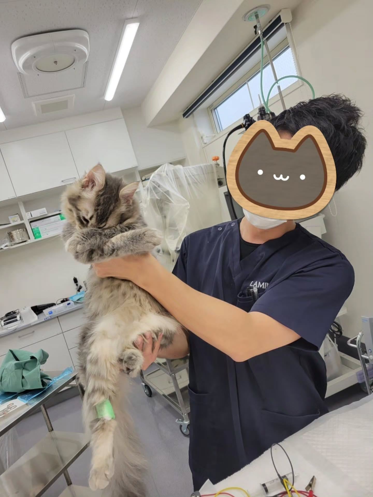 ♡♡♡(=^ェ^=)♡♡♡