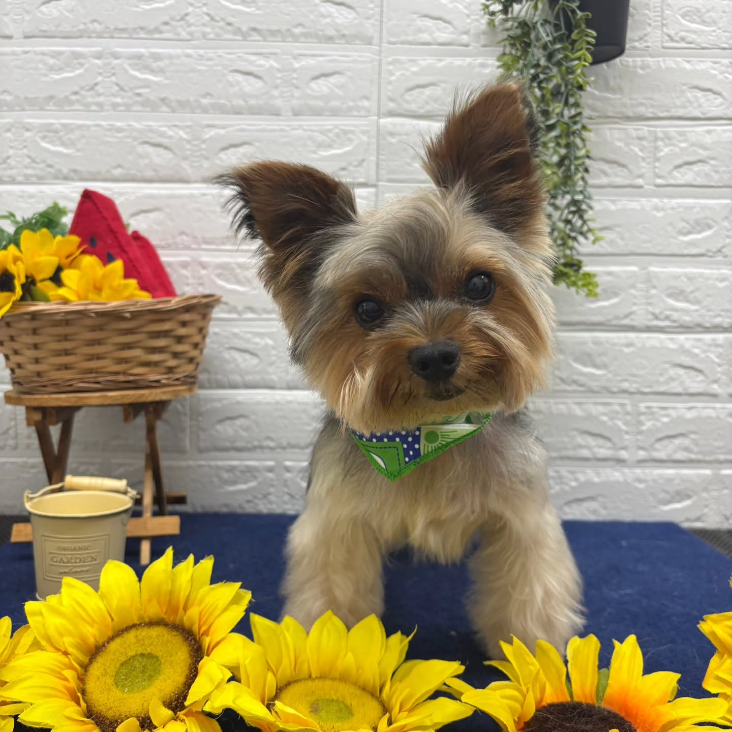 ๐๐๐๐๐๐๐๐๐๐