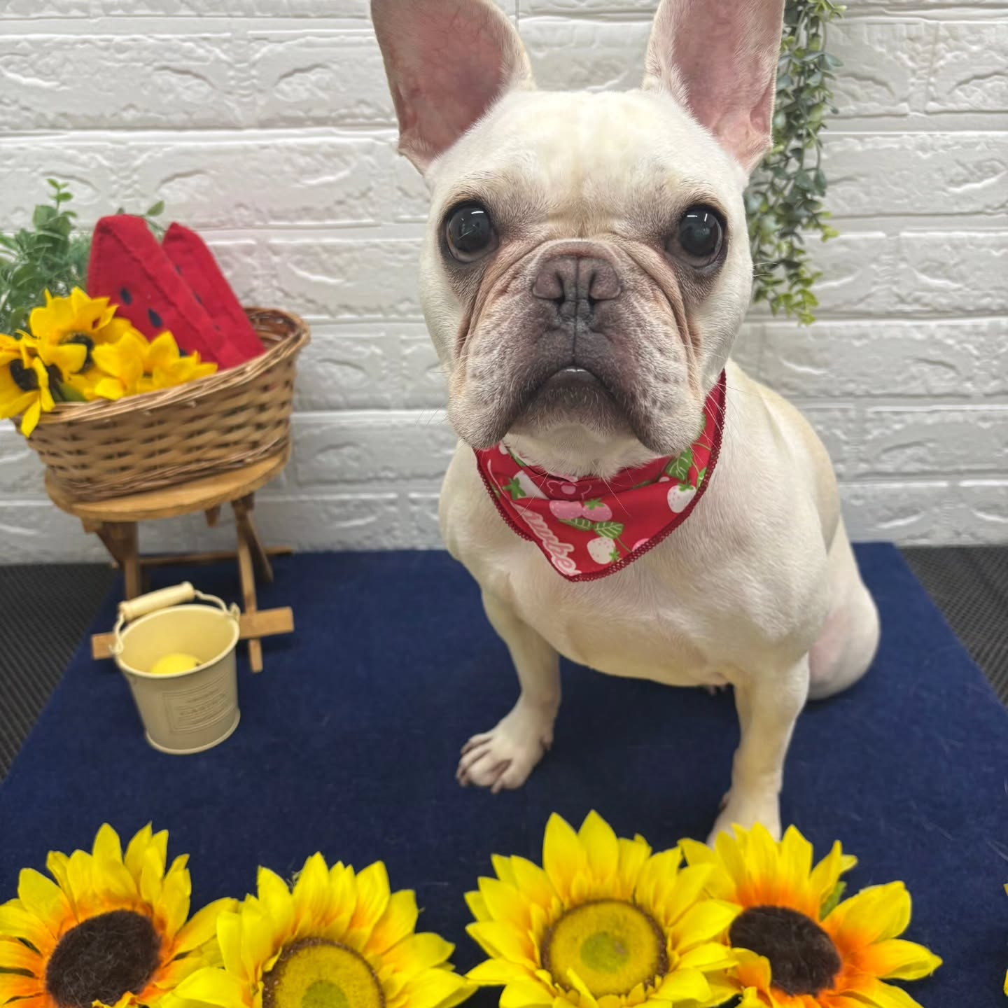 ๐๐๐๐๐๐๐๐๐๐