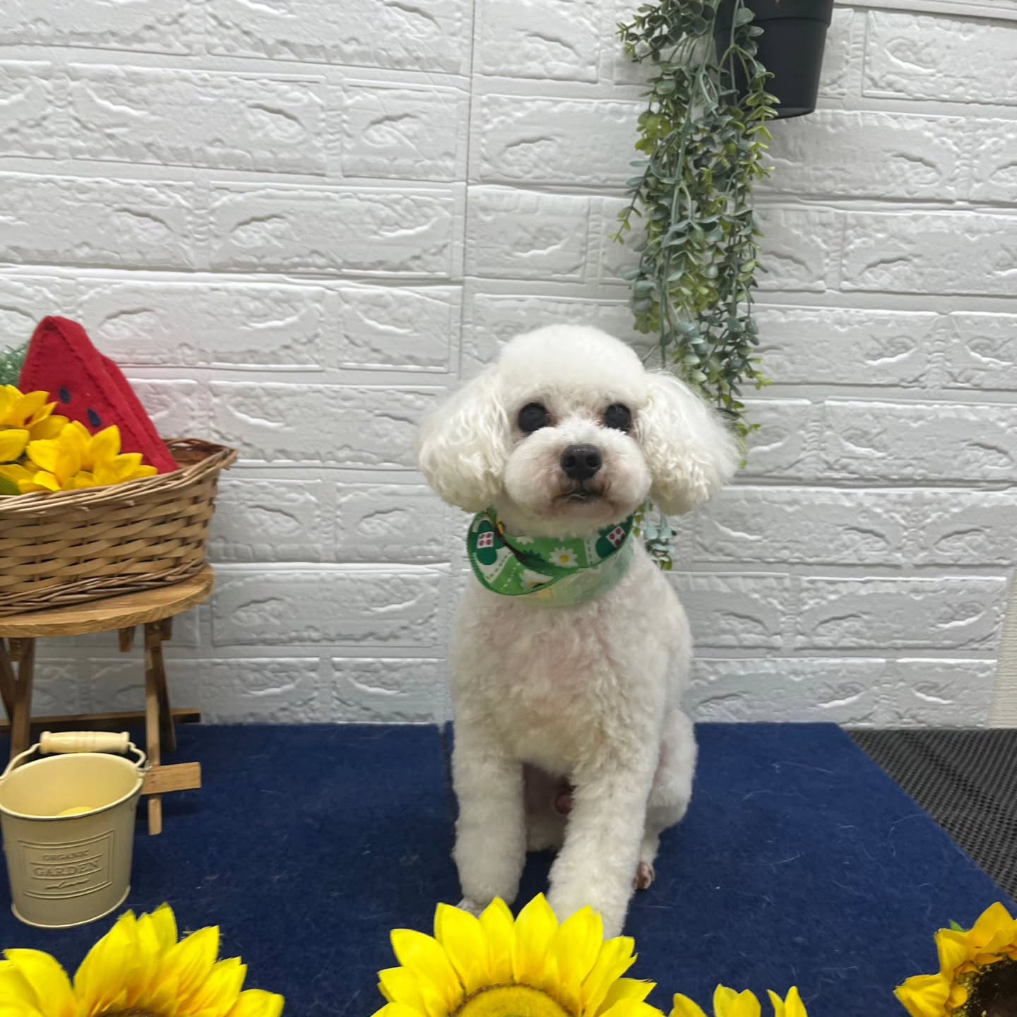 ๐๐๐๐๐๐๐๐๐๐