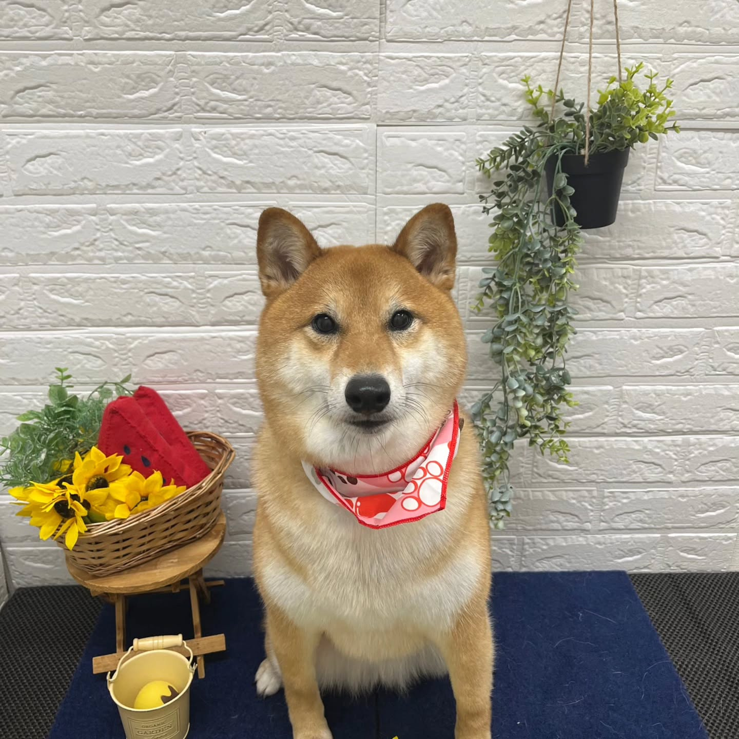 ๐๐๐๐๐๐๐๐๐๐