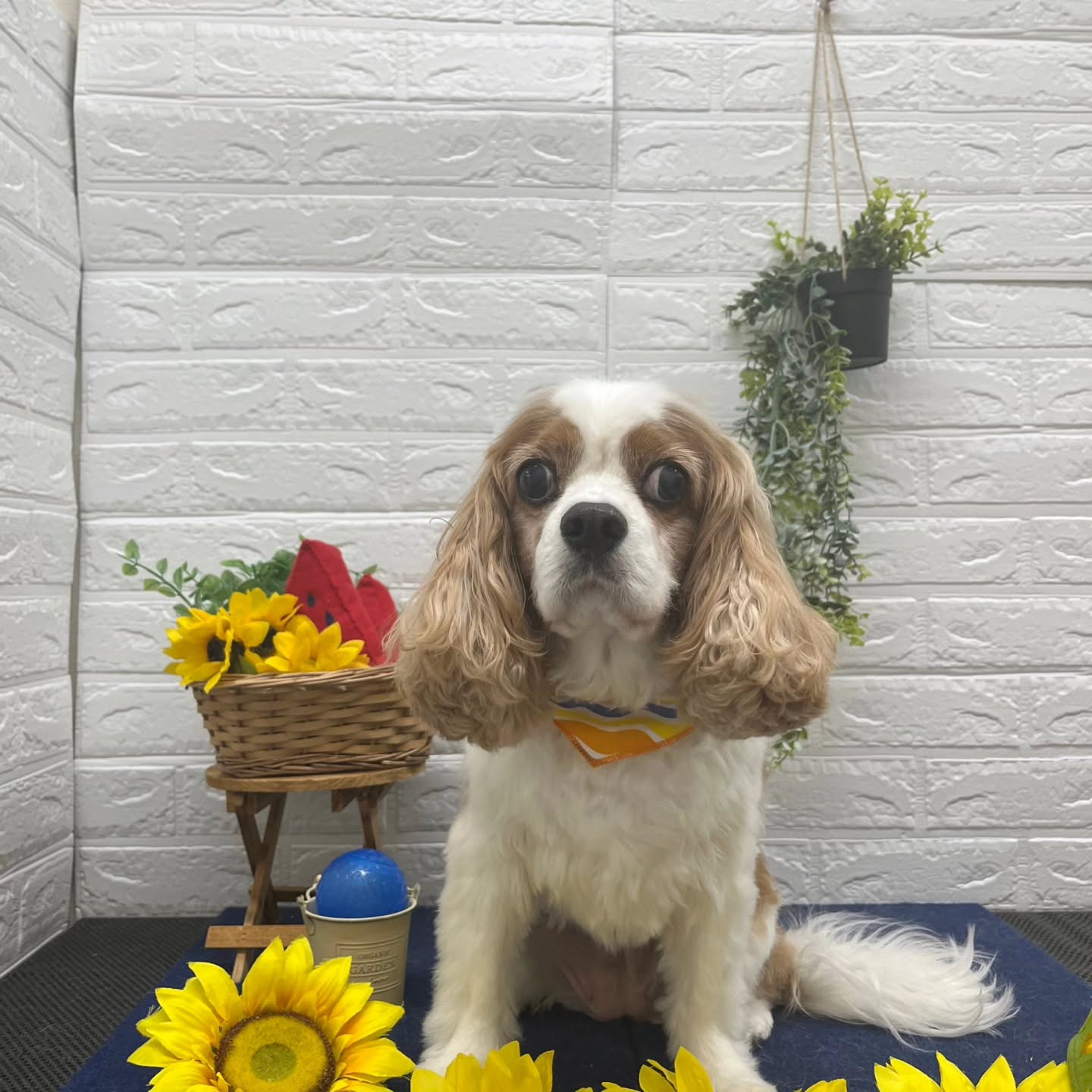 ๐๐๐๐๐๐๐๐๐๐