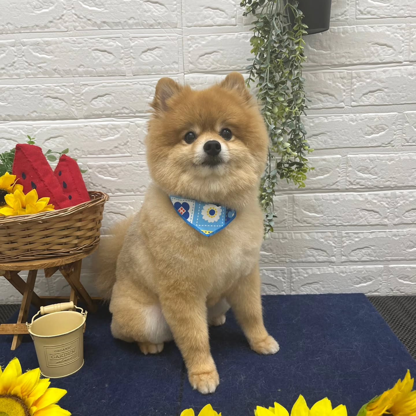 ๐๐๐๐๐๐๐๐๐๐