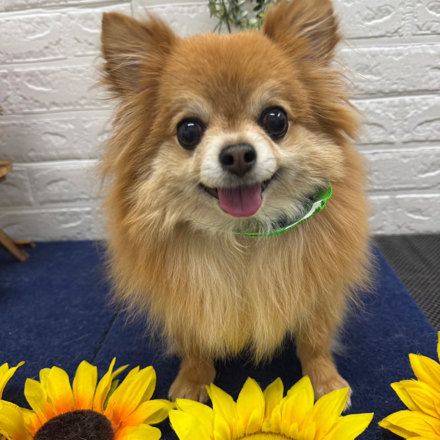 ๐๐๐๐๐๐๐๐๐๐