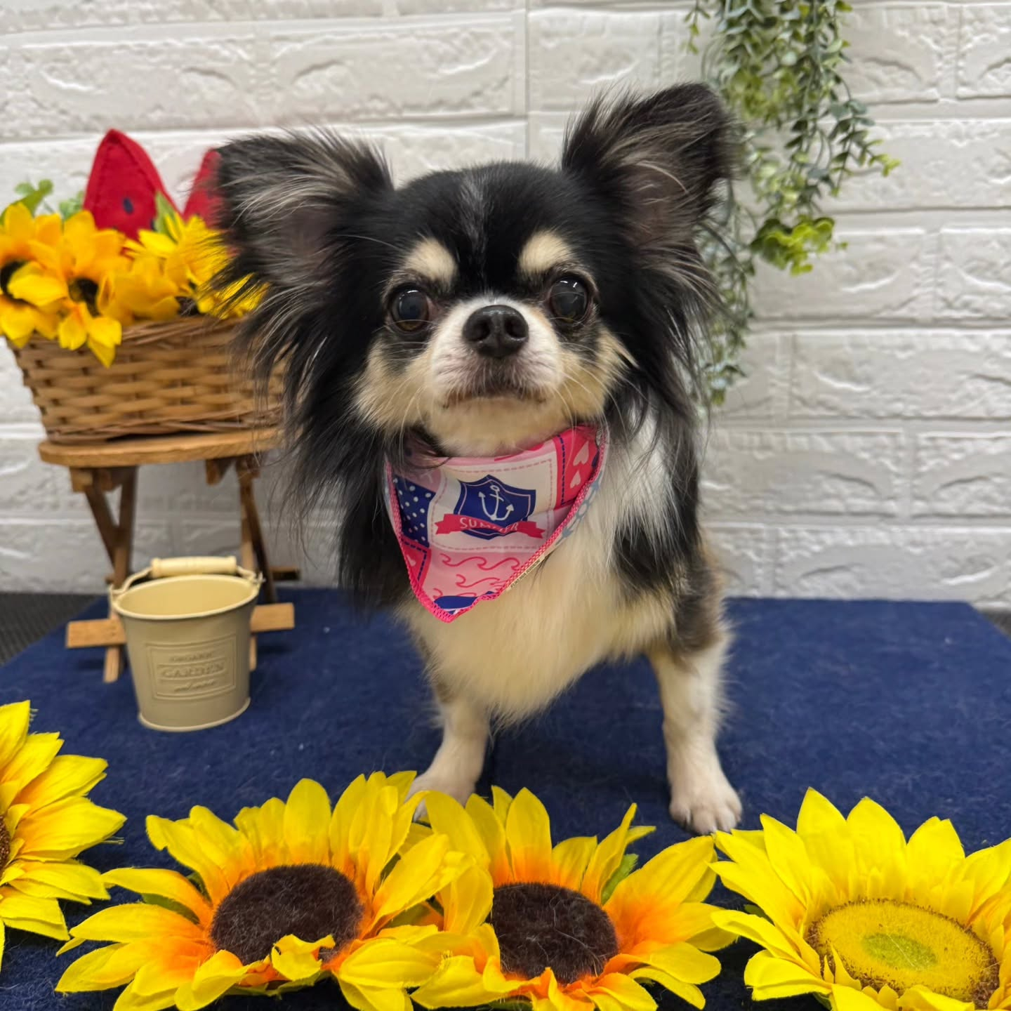 ๐๐๐๐๐๐๐๐๐๐