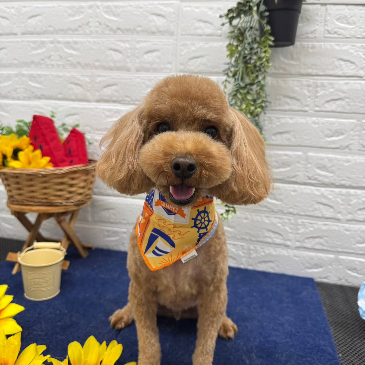 ๐๐๐๐๐๐๐๐๐๐