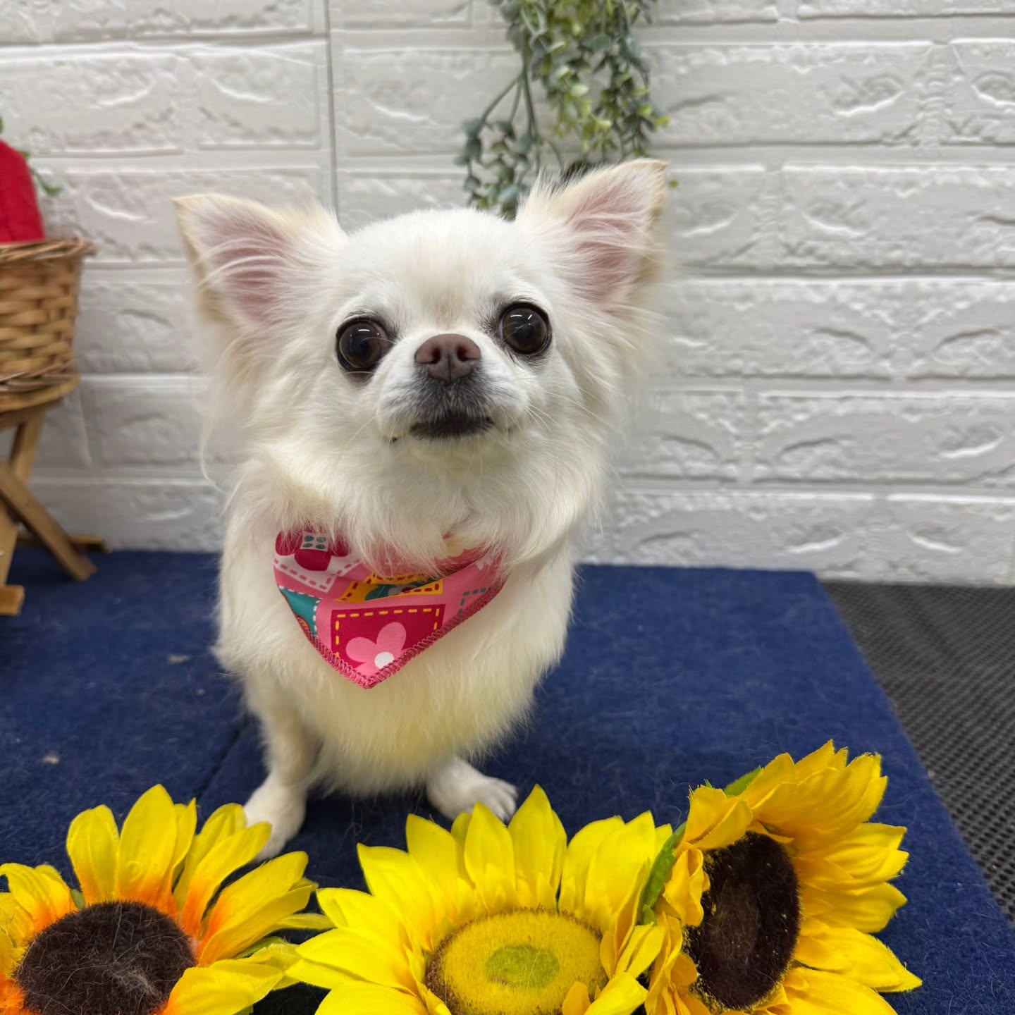 ๐๐๐๐๐๐๐๐๐๐