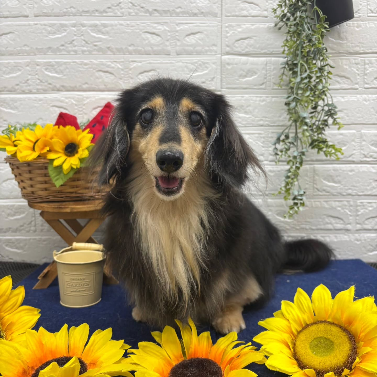 🍉🍉🍉🍉🍉🍉🍉🍉🍉🍉