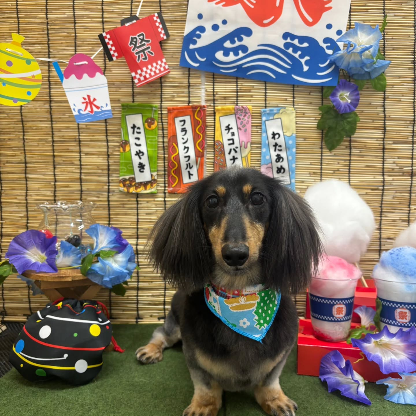 🏮🏮🏮🏮🏮🏮🏮