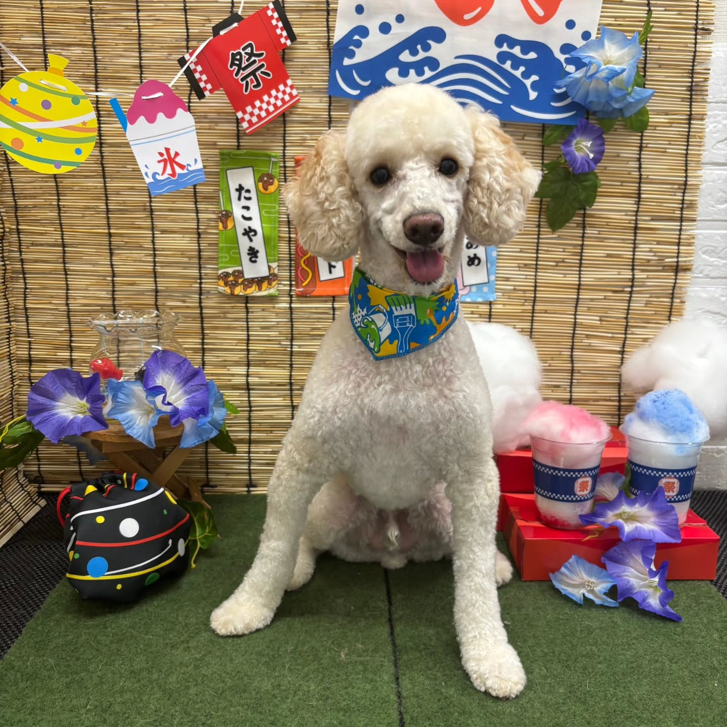 🏮🏮🏮🏮🏮🏮🏮