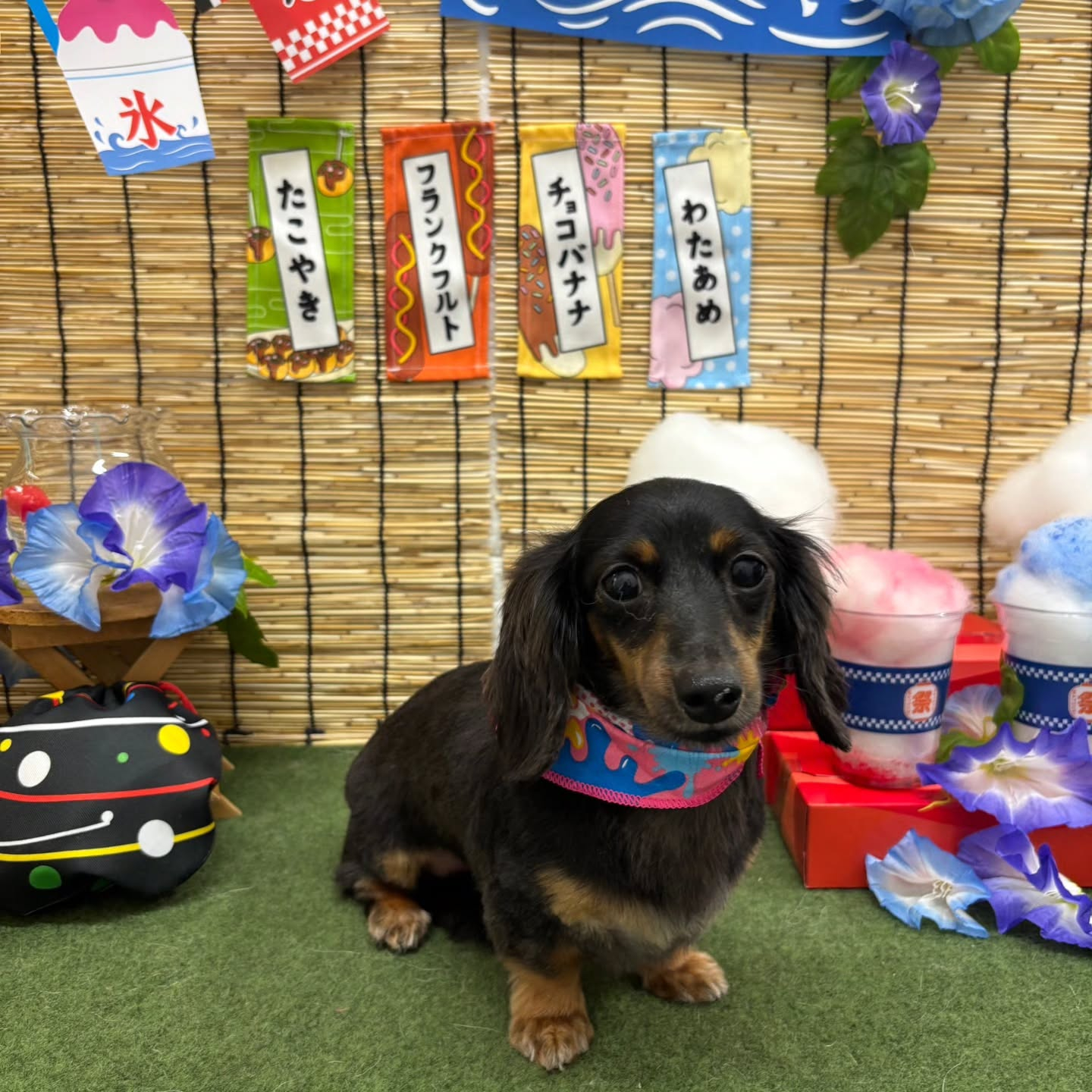 ๐ฎ๐ฎ๐ฎ๐ฎ๐ฎ๐ฎ